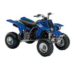 YFM350 Banshee (1987-2006) YFM350 Banshee (1987-2006)